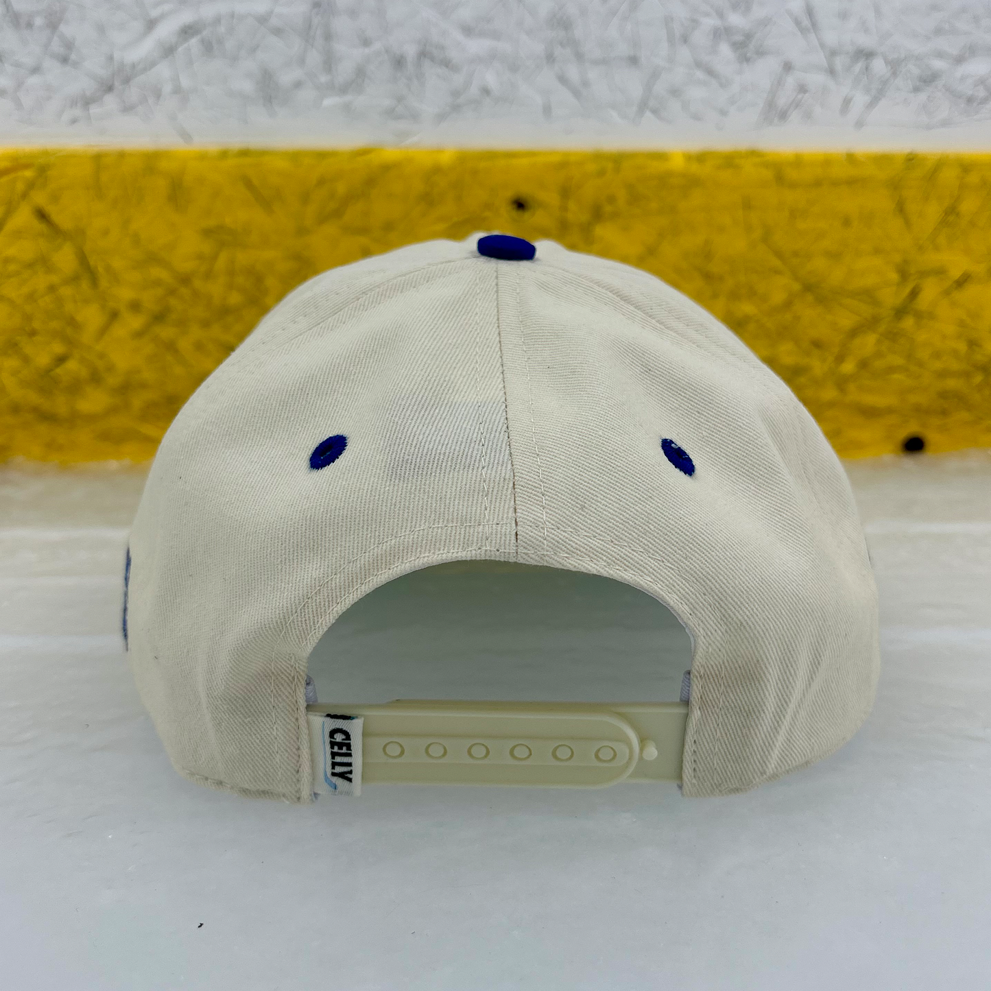 *PRE ORDER* Assumption University Champions Celly Hockey Co Snap Back Hat